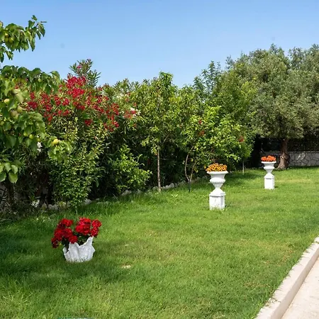 Five Stars Villa Skala (Kefalonia)
